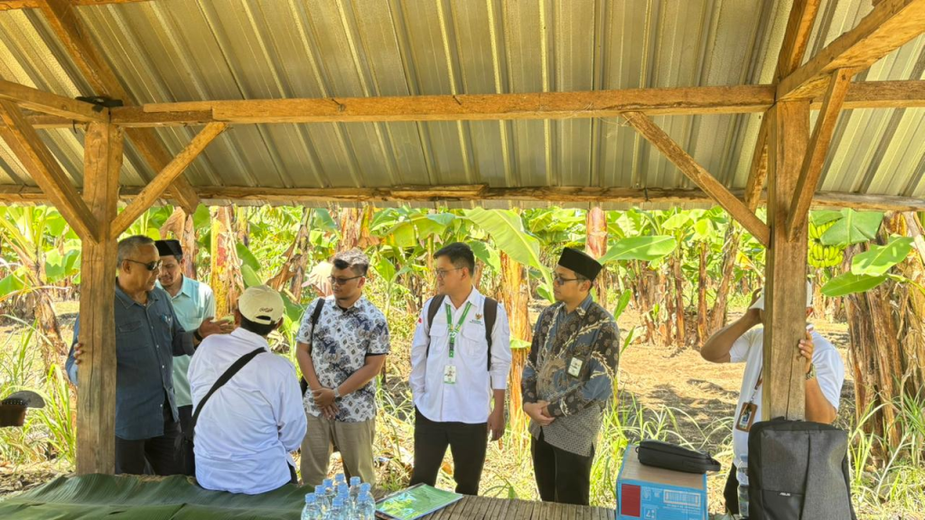 Panen Berlimpah, Petani Binaan Baznas Lotim Kini Mampu Tunaikan Zakat Sendiri Panen Berlimpah, Petani Binaan Baznas Lotim Kini Mampu Tunaikan Zakat Sendiri