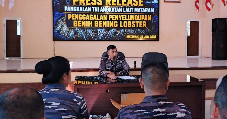 Aksi Penyelundupan 10 Ribu Benih Lobster Digagalkan di Lombok Timur, Negara Selamatkan Potensi Kerugian Ratusan Juta Rupiah Aksi Penyelundupan 10 Ribu Benih Lobster Digagalkan di Lombok Timur, Negara Selamatkan Potensi Kerugian Ratusan Juta Rupiah